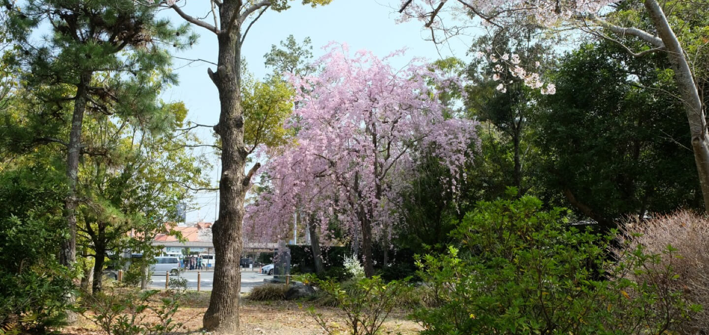 伊勢神宮