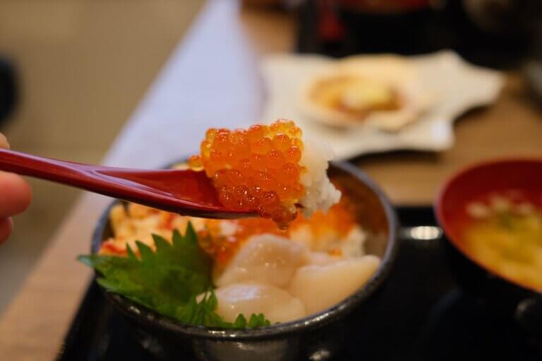 札幌,北海道美食,海鮮丼,產地直送,日本自由行,2023